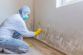  Avondale, PA Mold Prevention & Removal Pros