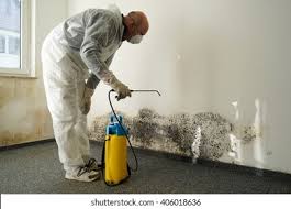 Best Commercial Mold Inspection  in Avondale, PA